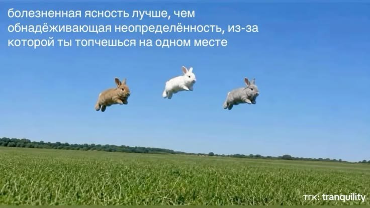 подскажите пожалуйста насколькопроцентов развита ваша стрекознявость. — emiliaaoaa · Стрекоза