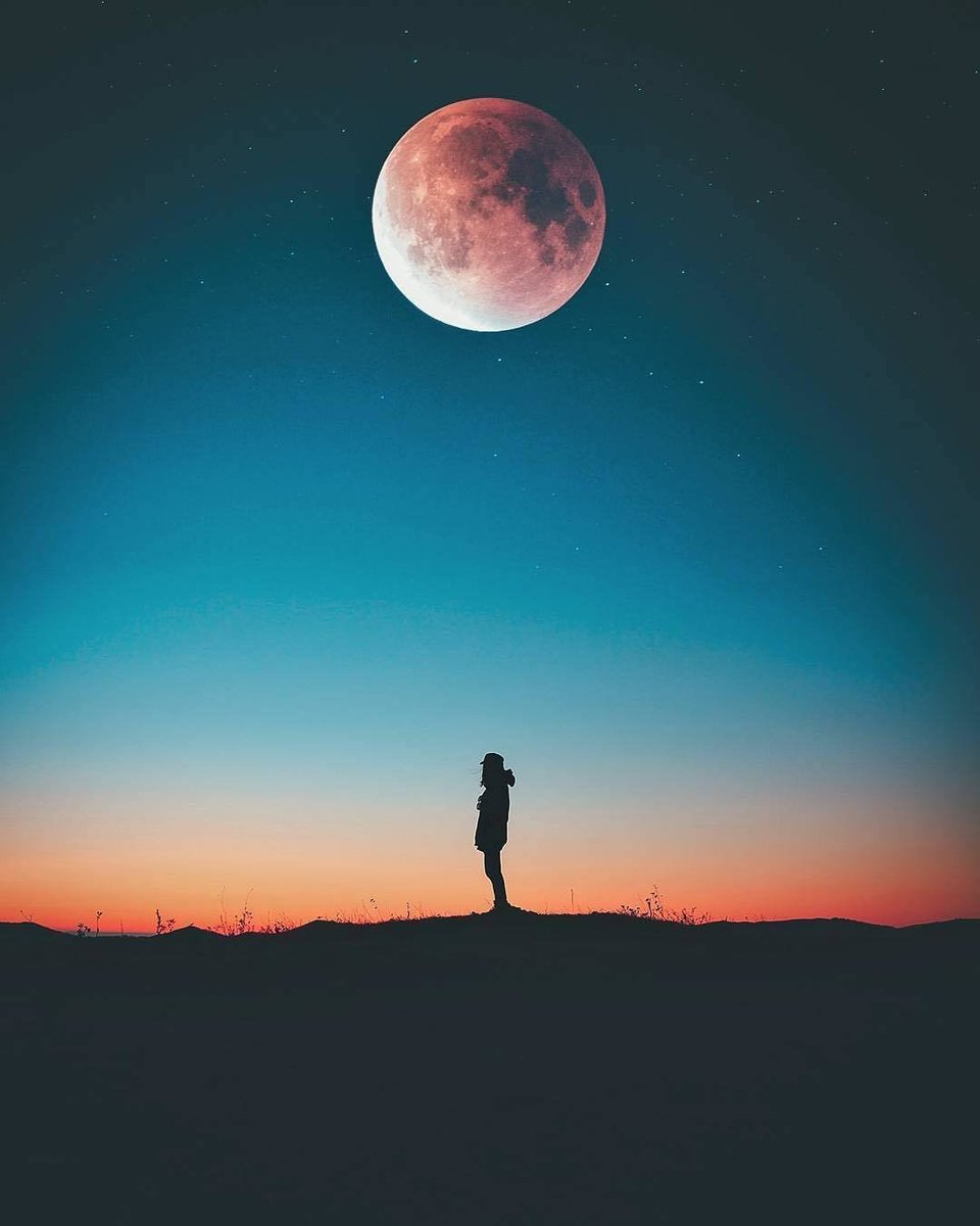 Для грустных skyfall beats - lonely / all i do — EDM Mania · Стрекоза