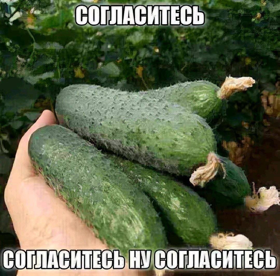 как ощущается что угодно в этой хуйне — Bidonchik44 · Стрекоза