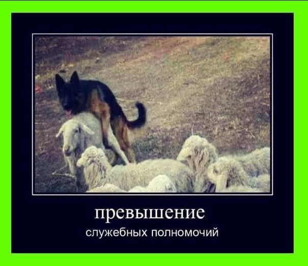 Обслуживающий персонал.... — drocher21 · Стрекоза