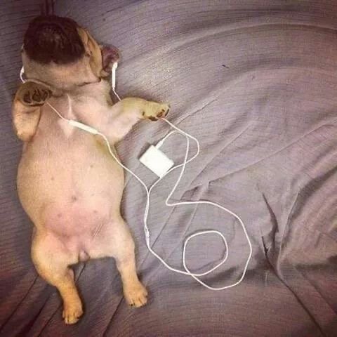 друзья, нужен фидбек по радио BEN FM! каким должен быть эфир, чтобы л… — konstantin · Стрекоза