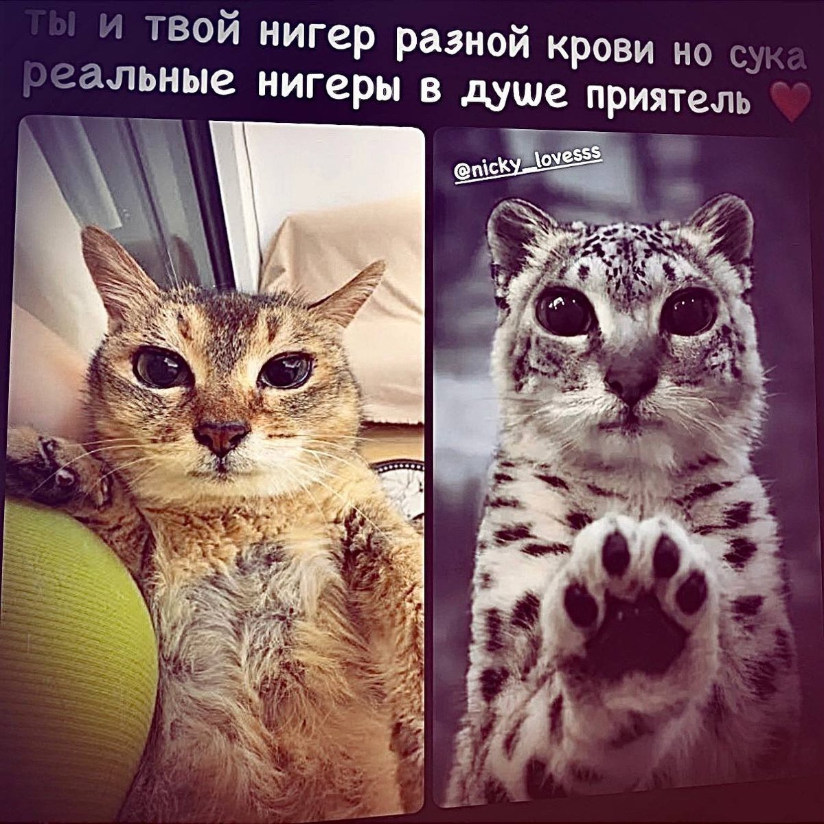 это могли быть новореги и старореги — bigguccitony · Стрекоза