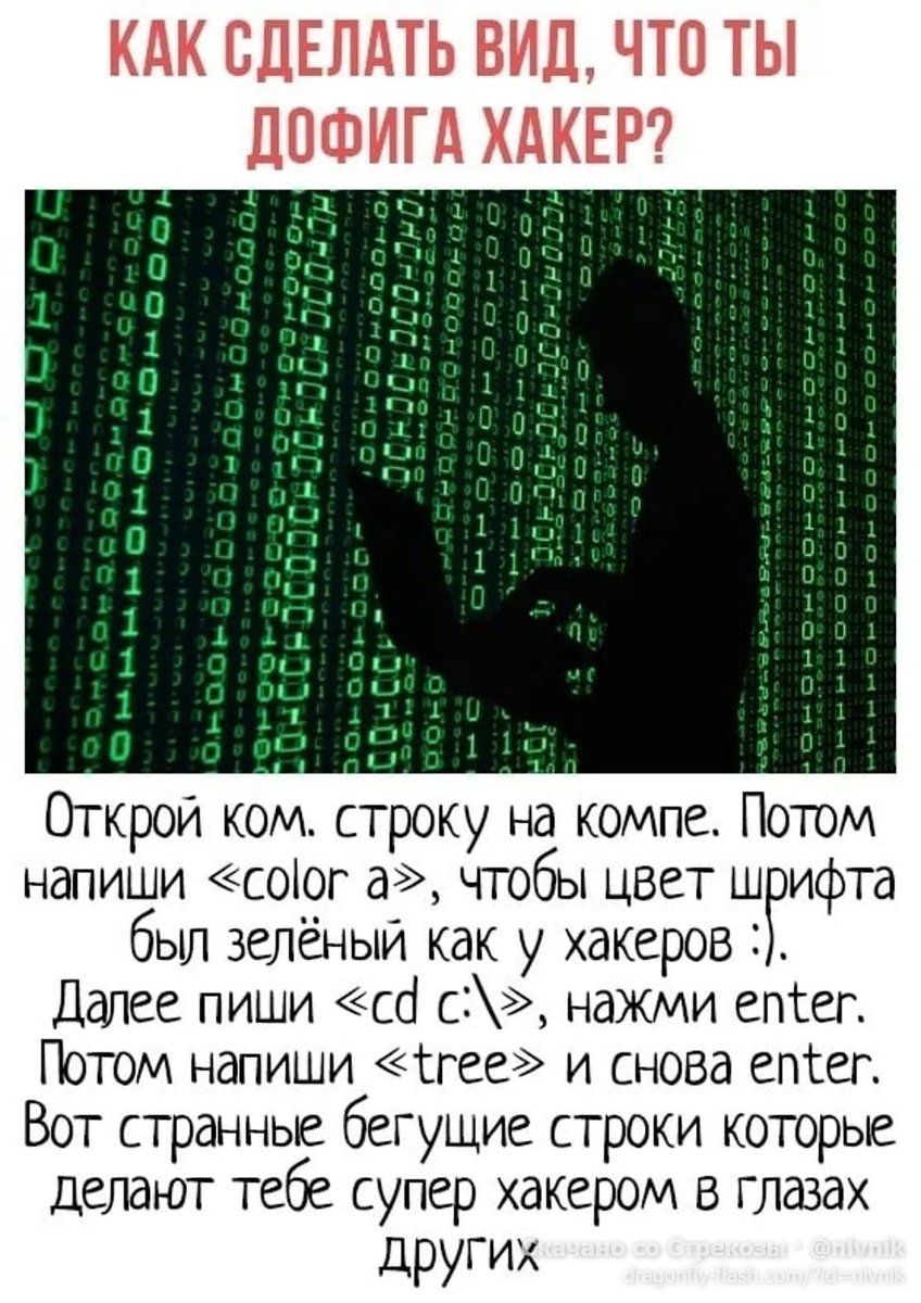 я coweocen сейчас популярно объясню, как в телепередаче... если новор… — guro_ah · Стрекоза
