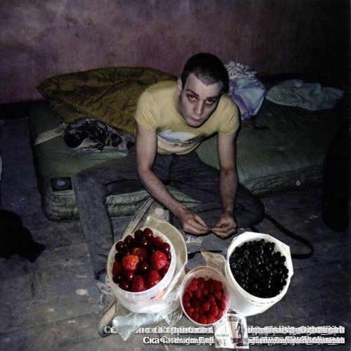 Новый чат Поиск цепочек Настройки На фотографии представлены следующи… — Voyager · Стрекоза