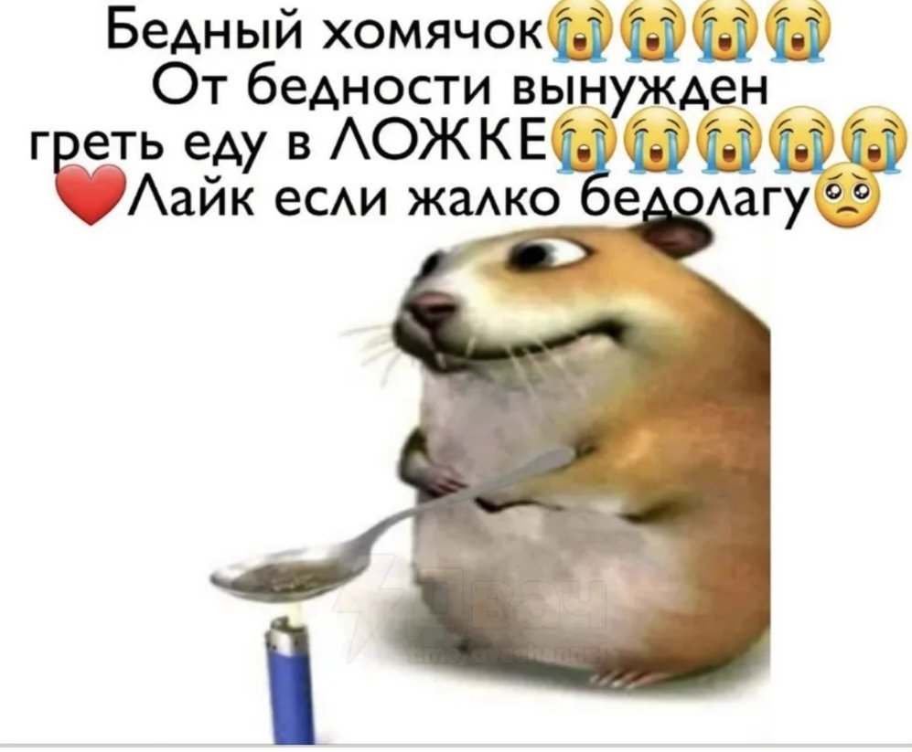 Задсьаднкднвдевдевднадрардсрчшевщевнщащнвщнвещвщеарзащрагхпзрсщевщевж… — 1loveChesee · Стрекоза
