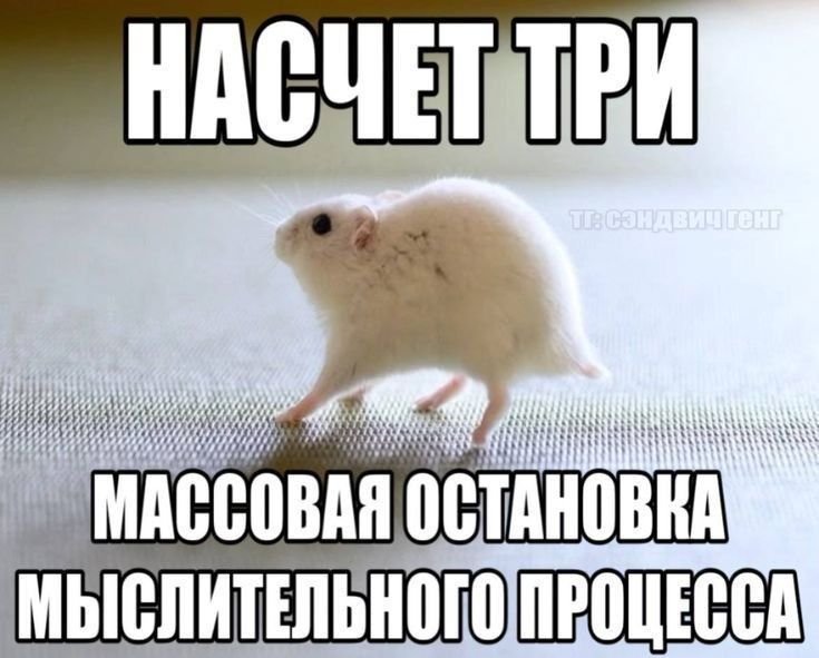 Ребятки, короче, если у вас есть какое-нибудь животное, про которое в… — Toaster · Стрекоза