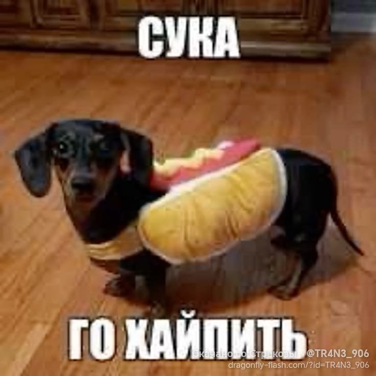 Репостните и поставьте лайк пж — 1loveChesee · Стрекоза