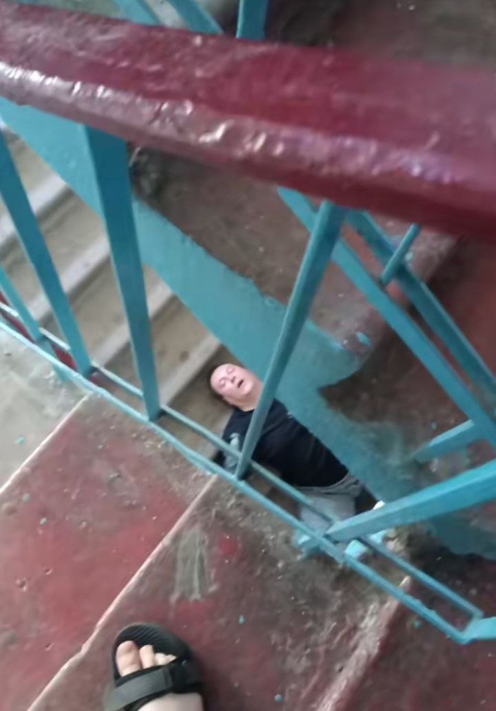 типа.... ну типа.... прикол? — KnsrV · Стрекоза