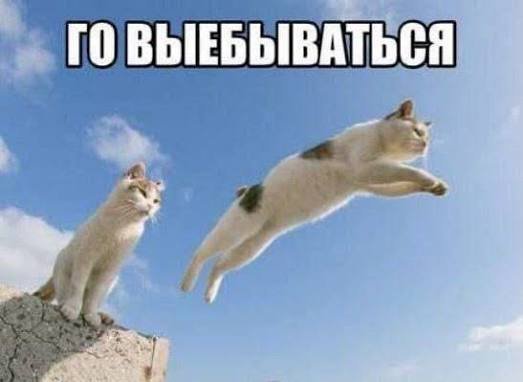Если дать щелбан по соску, то он затвердеет примерно через 5 сек — Klearchos · Стрекоза