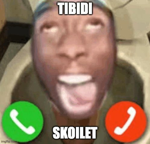 TIBIDI SKOILET ахаххахах смешно — 1loveChesee · Стрекоза