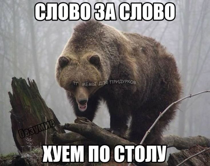 Рейва не будет, наебалово, кто куда я обратно в лес. Хотяб на стрекоз… — Shom · Стрекоза