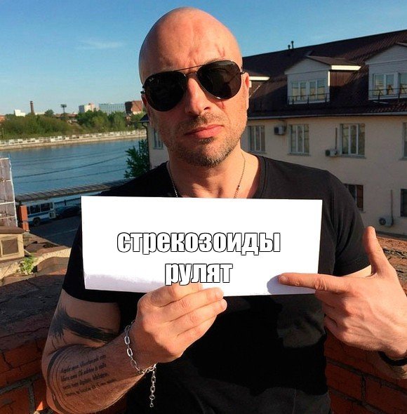 и это не обсуждаеца — Gambo · Стрекоза