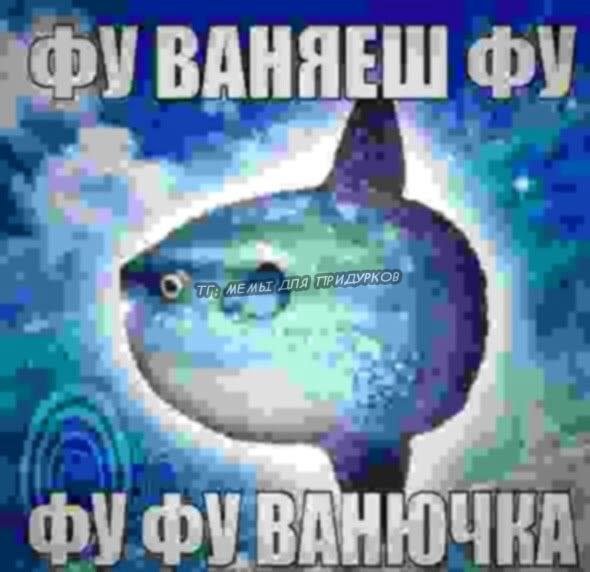 Выбрать файл из папки картинки смешные — PoPozer · Стрекоза