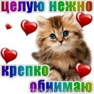 всем сладких снов! люблю, целую! — chupi · Стрекоза