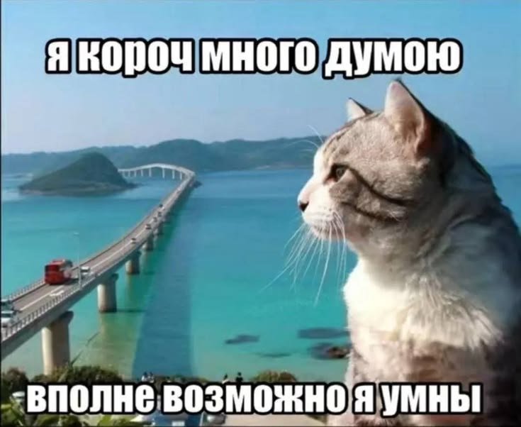 Всем дбр вечер. у меня делема, с которой я не могу одна справиться, а… — icing · Стрекоза
