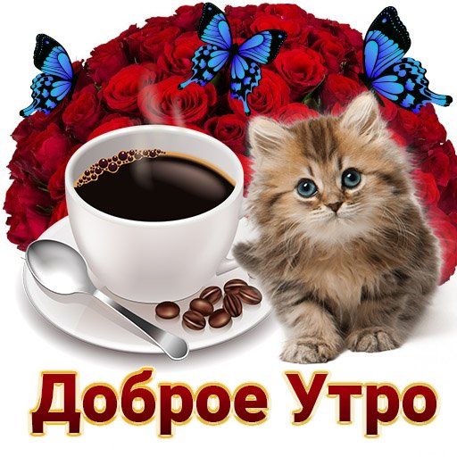 Всем хорошего дня) — prince · Стрекоза