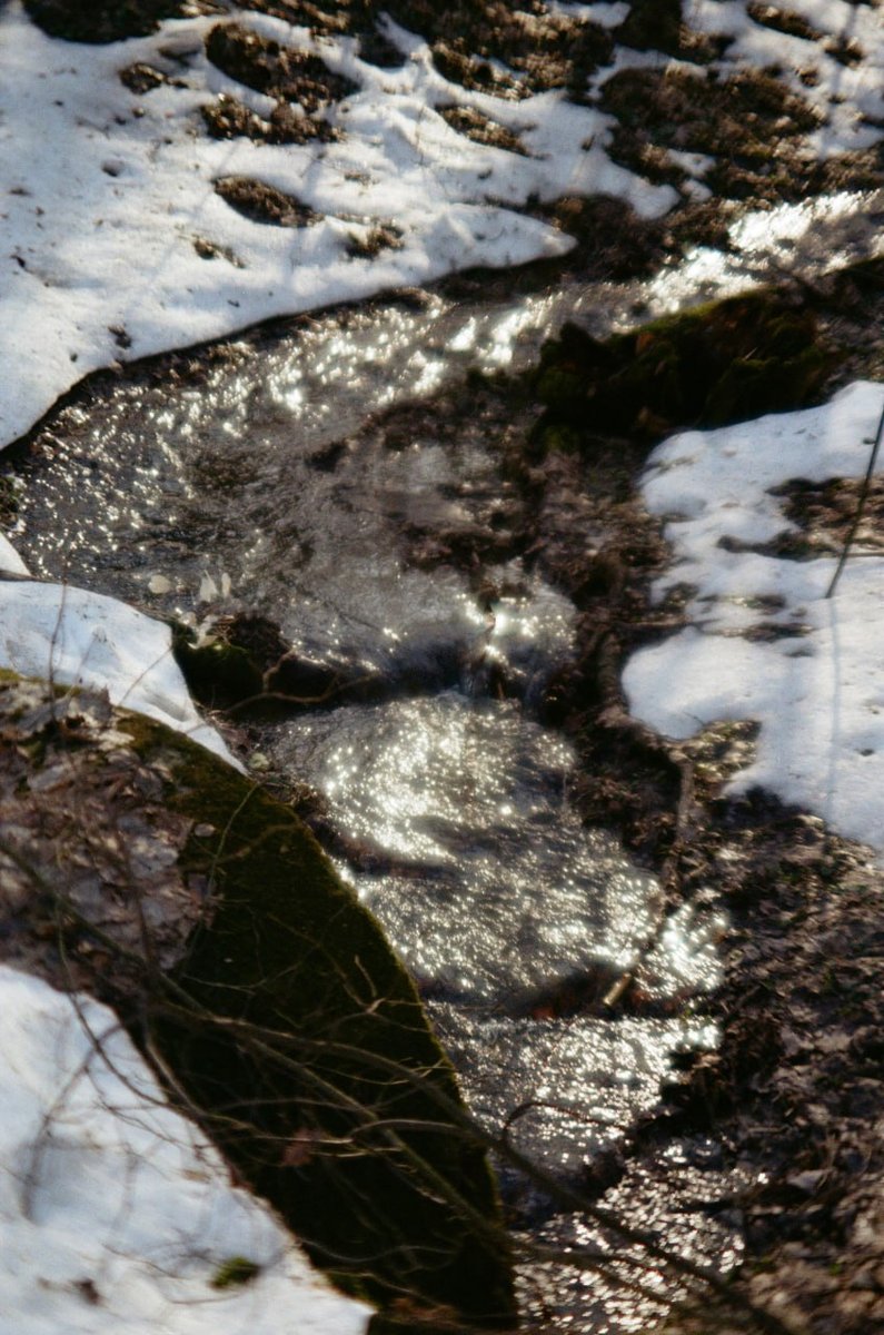 Камера: Minolta X-300 Пленка: Kodak ColorPlus Линза немного запотела… — Погоди,щелкну и пойдем · Стрекоза