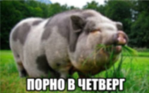 завтра пятницаа да ну наххууу — ybrbnjc · Стрекоза