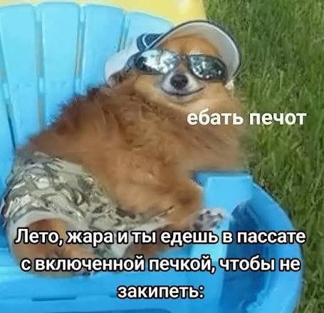 Днем немного совсем поработал. Больше ждал других людей. В основном д… — wacotal · Стрекоза