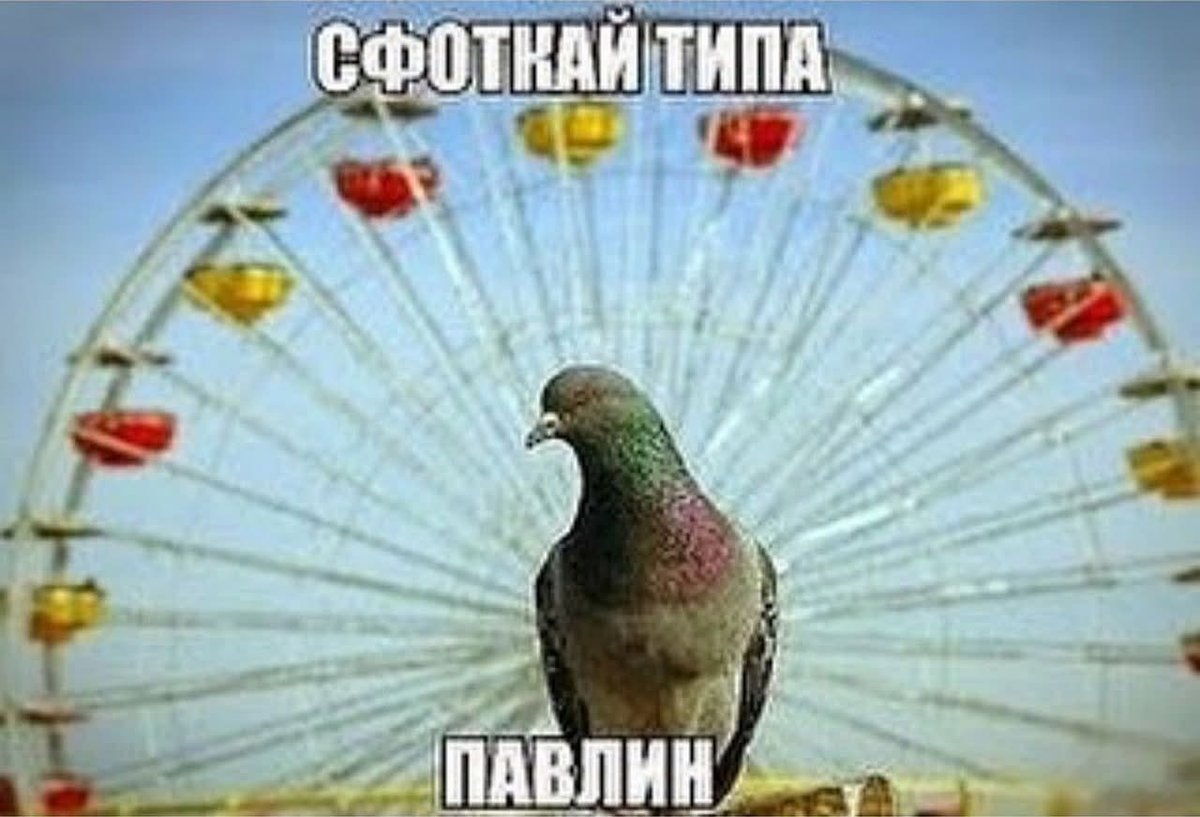 Привет чувачки классные, как у вас ночь идет???? — newdlez · Стрекоза
