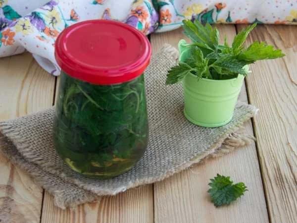 МАРИНОВАННАЯ КРАПИВА Ингредиенты Крапива 300 г Сахар 1 ст.л. Соль 1 с… — Домашние Заготовки | Консервация | Закатки | Рецепты · Стрекоза