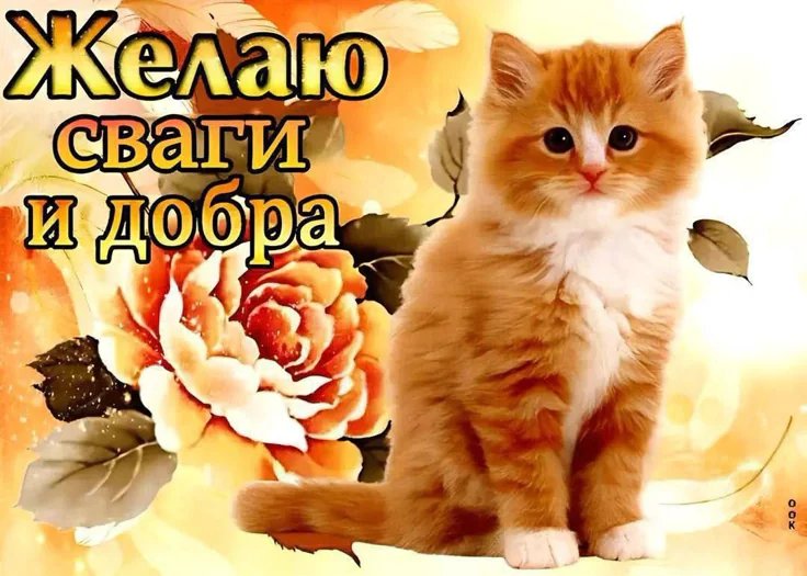 Доброе утро всем стрекозоидам, как у вас дела? Я вот сразу как просну… — Forces · Стрекоза