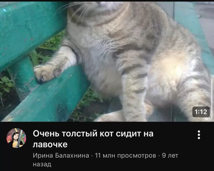 22 июля - День толстяка и толстушки История Дня толстяка и толстушки,… — какой сегодня праздник? · Стрекоза