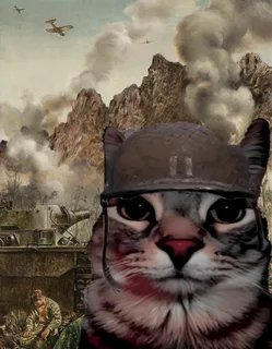 Иногда мне кажется что я последний выживший натурал на планете, поясн… — sv4k_christ · Стрекоза