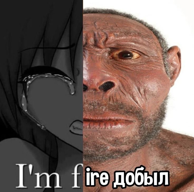 Мем нагло стыбжен чо могу сказать — sv4k_christ · Стрекоза