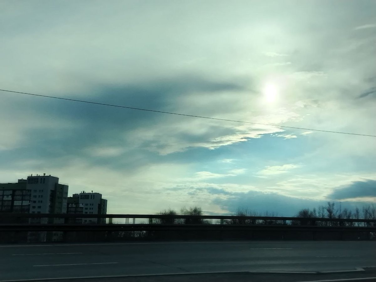 мои фотос, которые никому (из окружения) кроме мня не вайбят — mirxxxo · Стрекоза