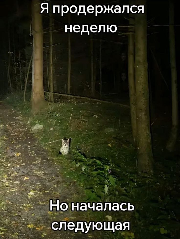 Осторожно нытьё... мне не особо хотелось ныть, но всё таки хочу расск… — ShipovnikAAA · Стрекоза