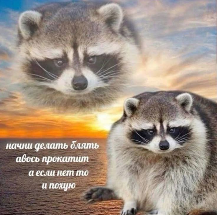 Лучшая мотивация для вас, дорогой анон — SuperSlender_2004 · Стрекоза