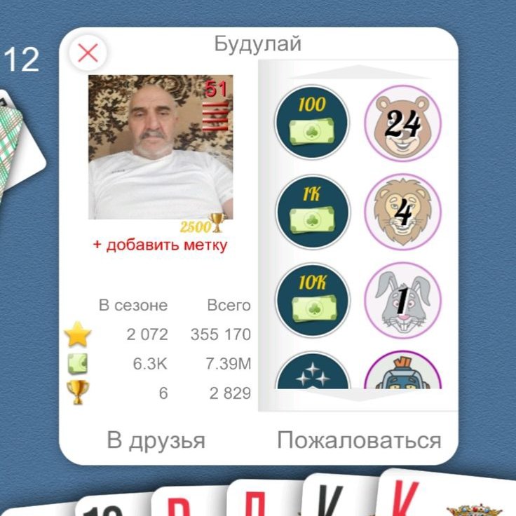 Будулай🙏 — Дурак онлайн · Стрекоза