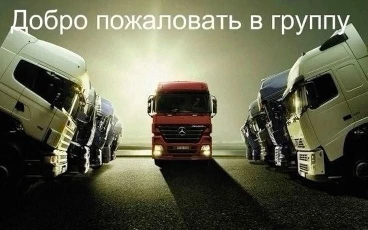 Доброй ночи, стреказоиды — logymastik · Стрекоза