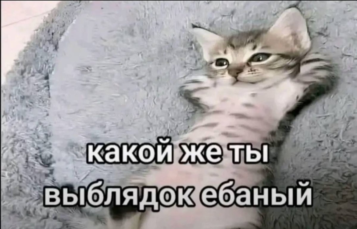 Для важных переговоров — Sosalka228prime · Стрекоза