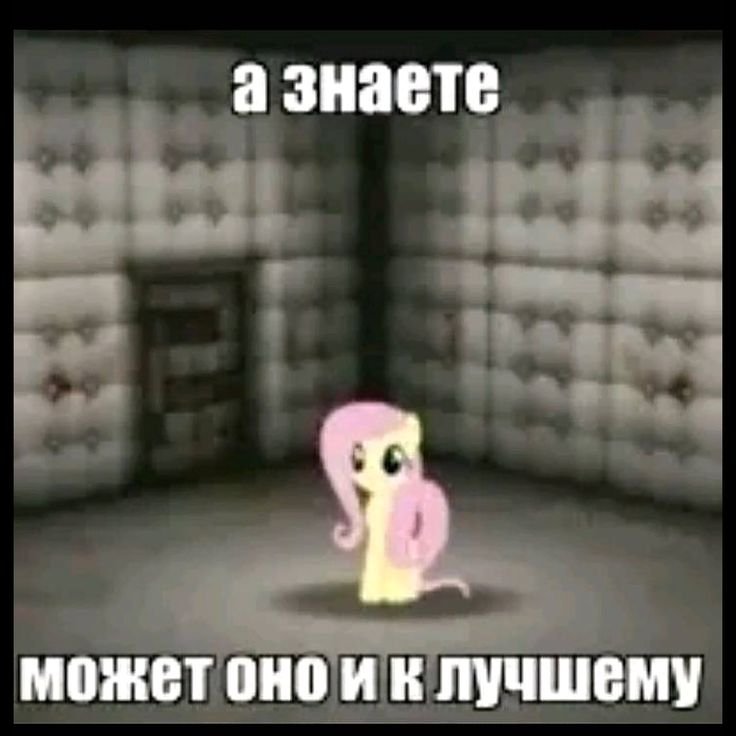 В НАШЕЙ СТРАНЕ! В НАШЕМ МИРЕ! МАТРИАРХАТ! Миром управляют женщины, уп… — madbrian · Стрекоза