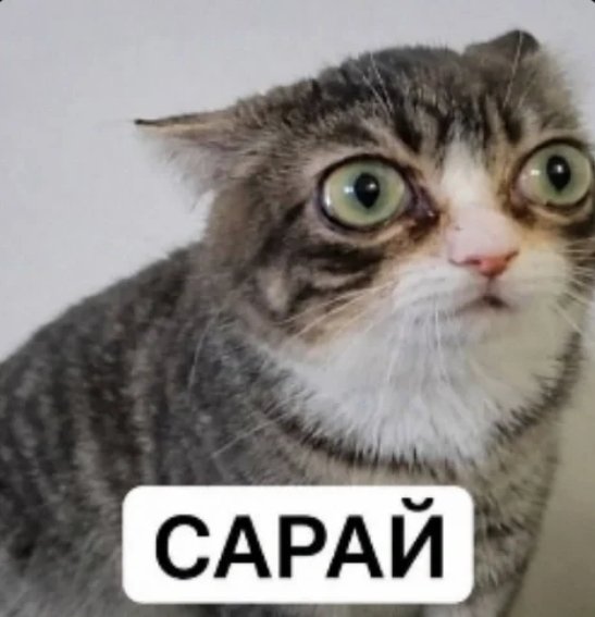 всем добри ночи — m1ha1ru · Стрекоза