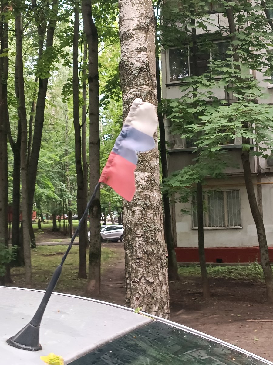тут будет мой секс блог — Jmishenko · Стрекоза