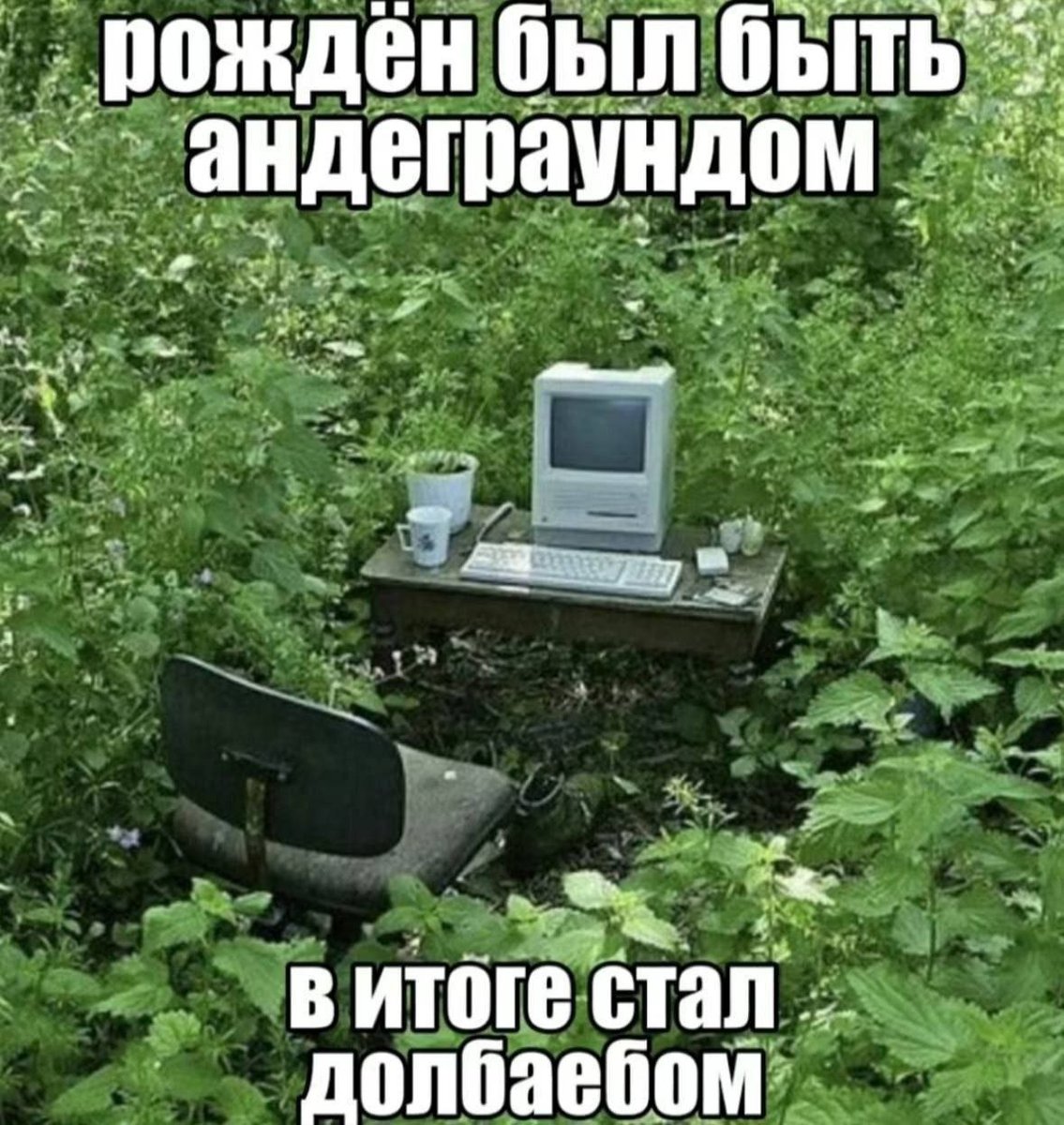 Мне кажется, стрекоза это буквально паблик вконтакте 10-х годов со см… — sqbible · Стрекоза