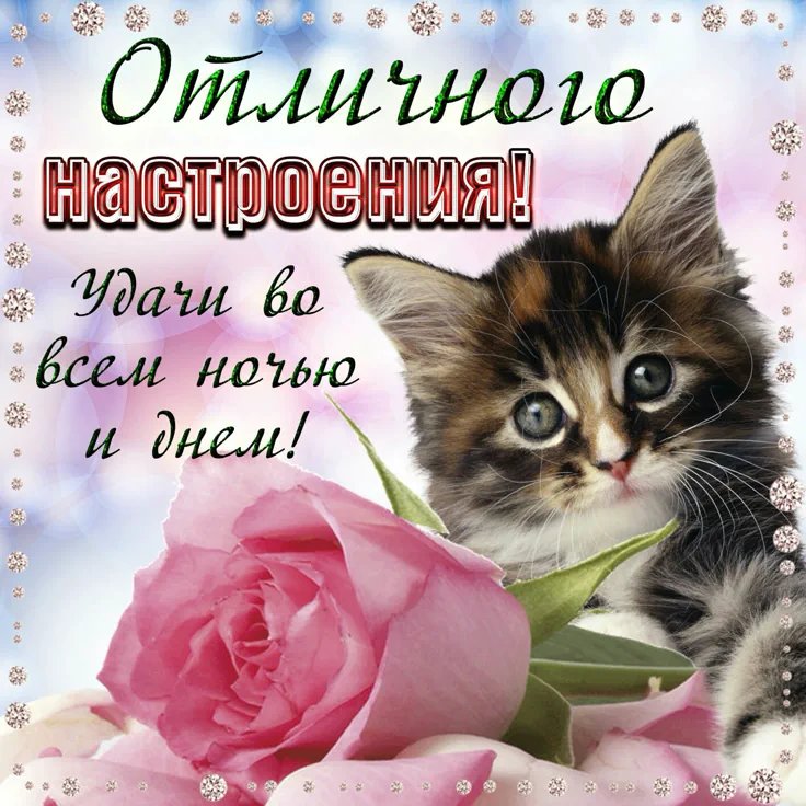 Добрейшего всем утра, дорогие Стрекозята!^^ Желаю вам всем приятного… — meownancy · Стрекоза