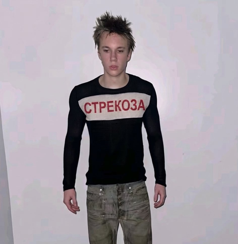 я сделал ахуенный мерч для стрекозоидов, как вам? нишево? — _c4ncell3d_qwq · Стрекоза