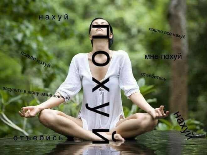 Я, когда пытаюсь игнорировать новости из окружающего мира, чтобы сохр… — meownancy · Стрекоза
