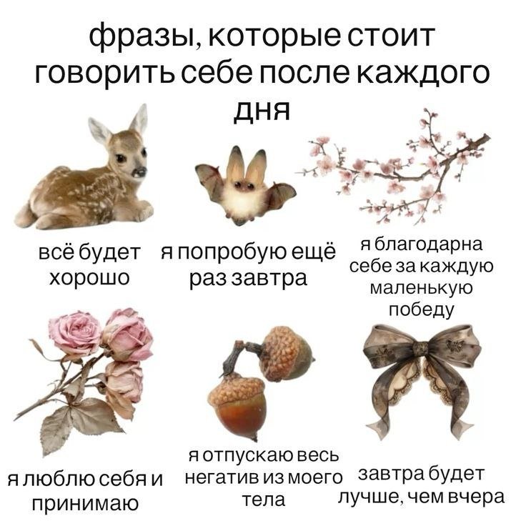 Стрекоза добра. Стрекоза добра. — Mafesto · Стрекоза