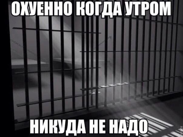 есть гайд ваще как жить когда утром нужно на дноработку? — sozdatel148 · Стрекоза