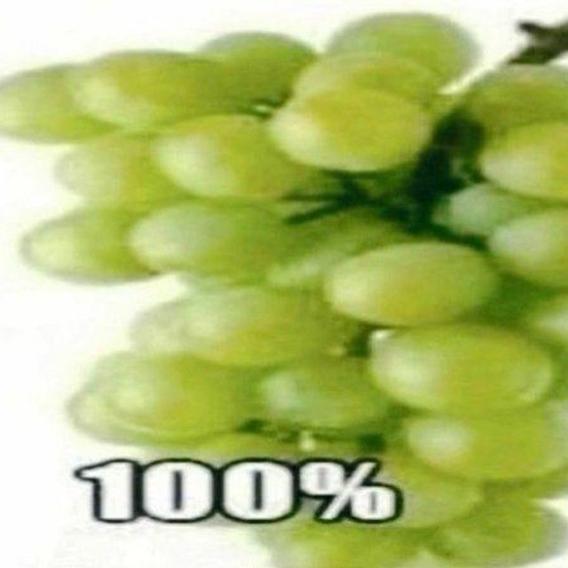 100% — doom13xd · Стрекоза