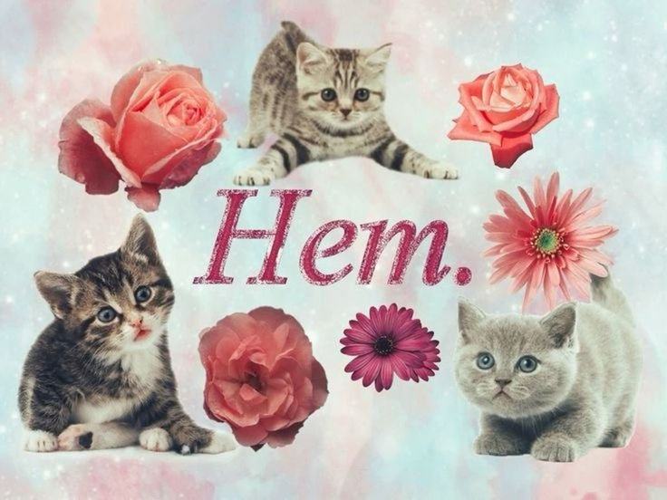 (˶˃ᆺ˂˶) — m3gAcoolGIRLLL7 · Стрекоза