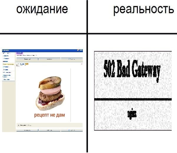 Хочешь зайти такой на стрекозочку — KotikBarhat · Стрекоза