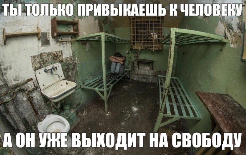 Питер кто дружить Пункты 1) НЕ должен работать. 2) НЕ должен помогать… — Hacker2281337 · Стрекоза