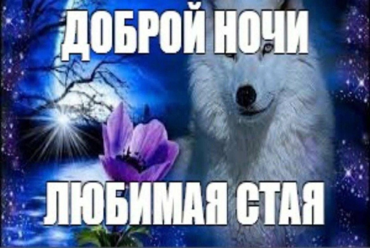 Сладких снов, бусинки — KotikBarhat · Стрекоза