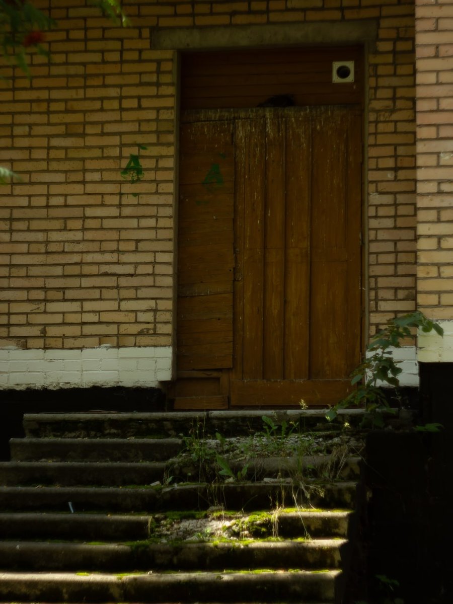 Дворики — ФУБ · Стрекоза
